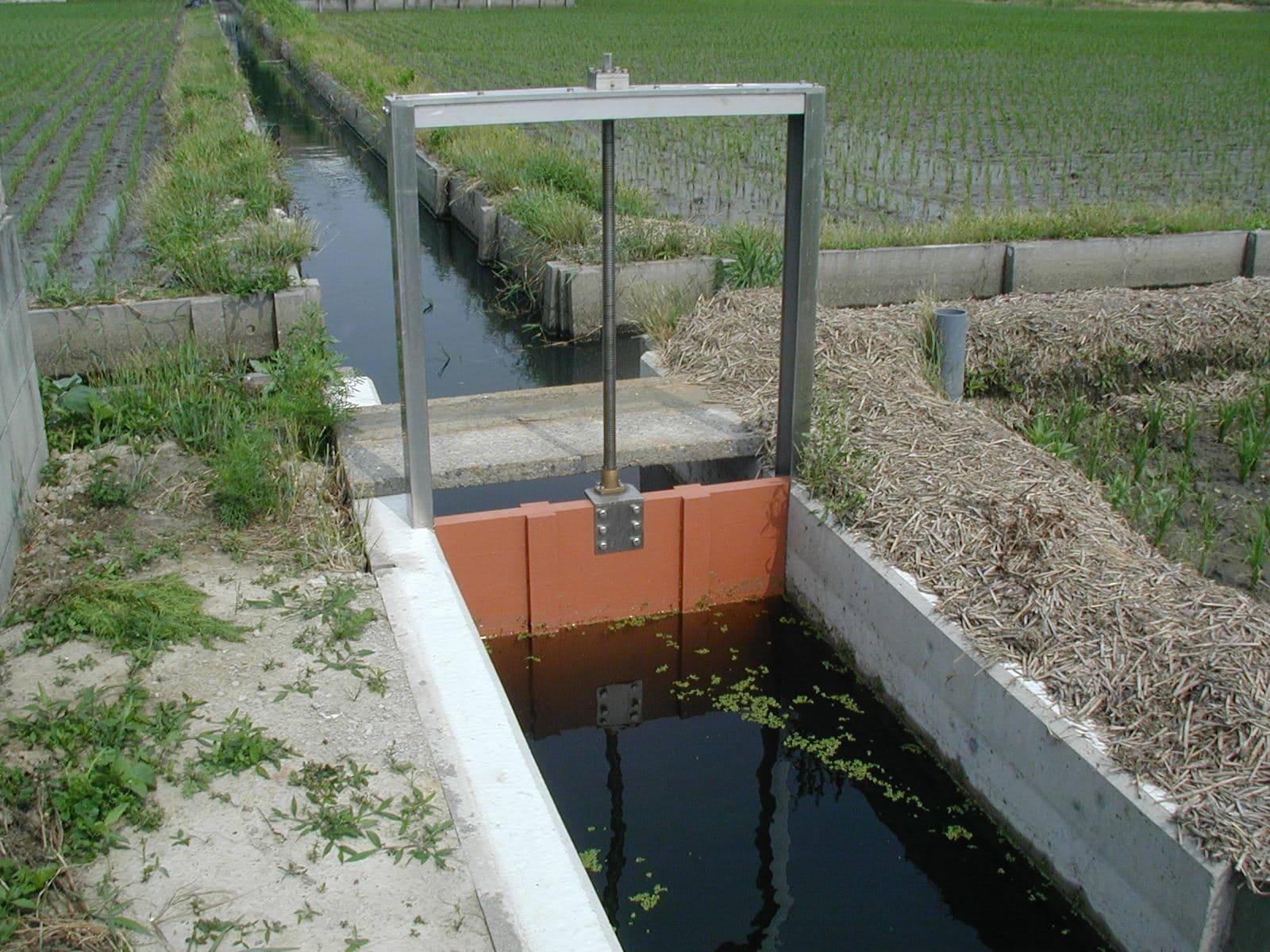 水門
