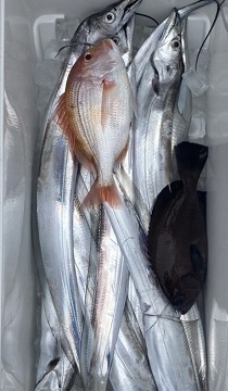 釣り