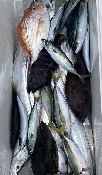 釣り