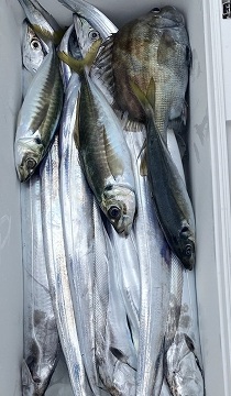 釣り