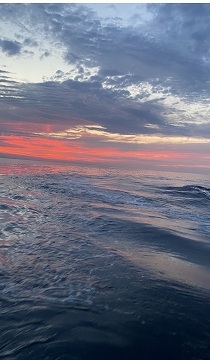 釣り